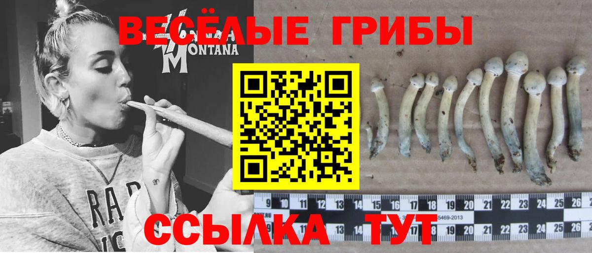 Галлюциногенные грибы GOLDEN TEACHER  Псилоцибиновые грибы GOLDEN TEACHER  Донской  Вход с VPN 