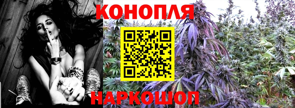 МАРИХУАНА гибрид Донской